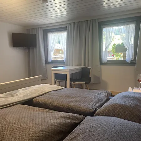 Nagelfluhhaus Hirsch Gæstehus 3*