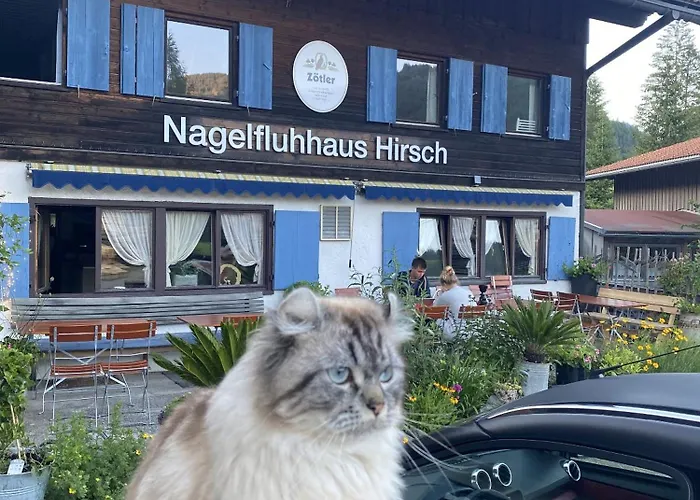 Nagelfluhhaus Hirsch グンツェスリート