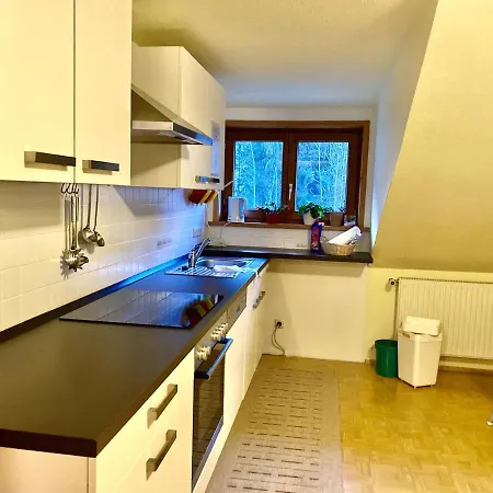 Nagelfluhhaus Hirsch Hotel 3*
