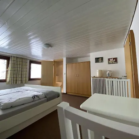 Nagelfluhhaus Hirsch Hotel 3*