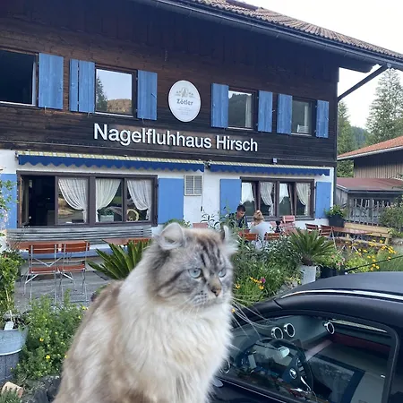 Nagelfluhhaus Hirsch Гунцесрид